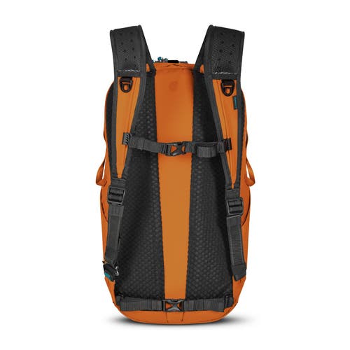 Shop Pacsafe Eco 25l Anti Theft Backpack In Econyl Canyon