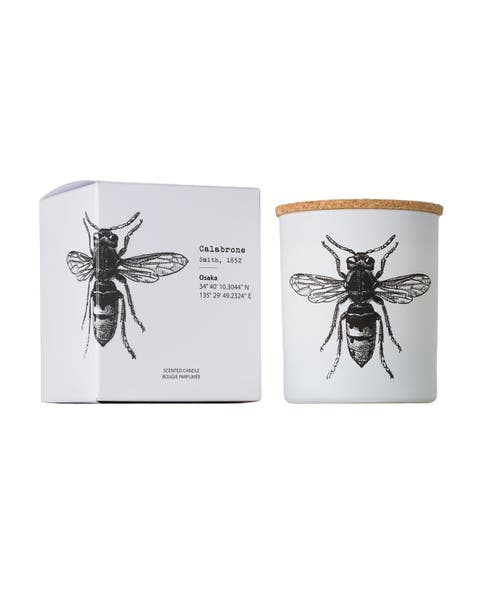 Vila Insect Candle In Jar 6.7 Ounce