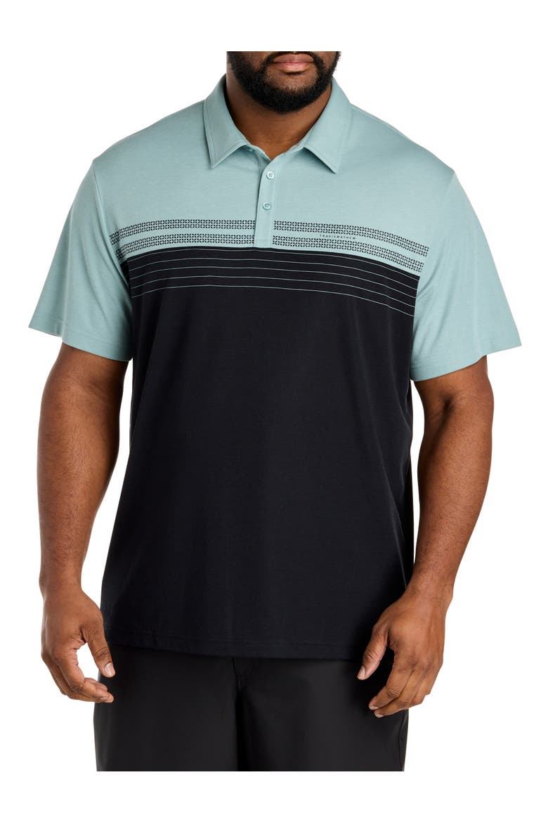 Big & Tall Postcard Book Polo Shirt, Main, color, ARONA