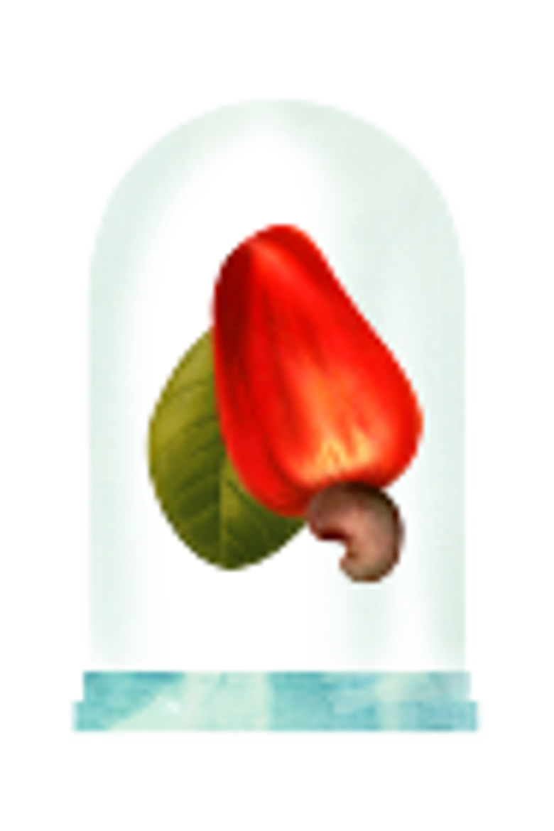 Époque Tropical Eau de Parfum, Alternate, color, Clear