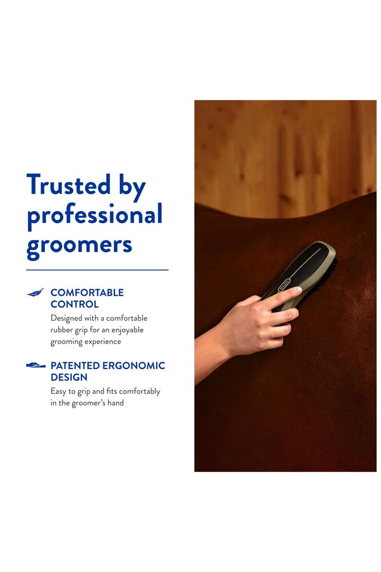 Equine grooming stiff body horse brush, Alternate, color, Black