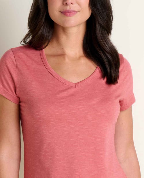 Toad And Co Toad & Co Marley Tee In Brown