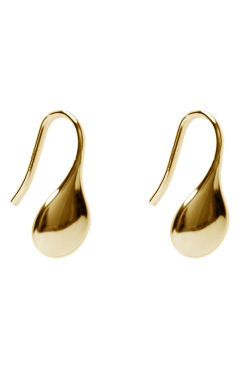 Small Teardrop Earrings