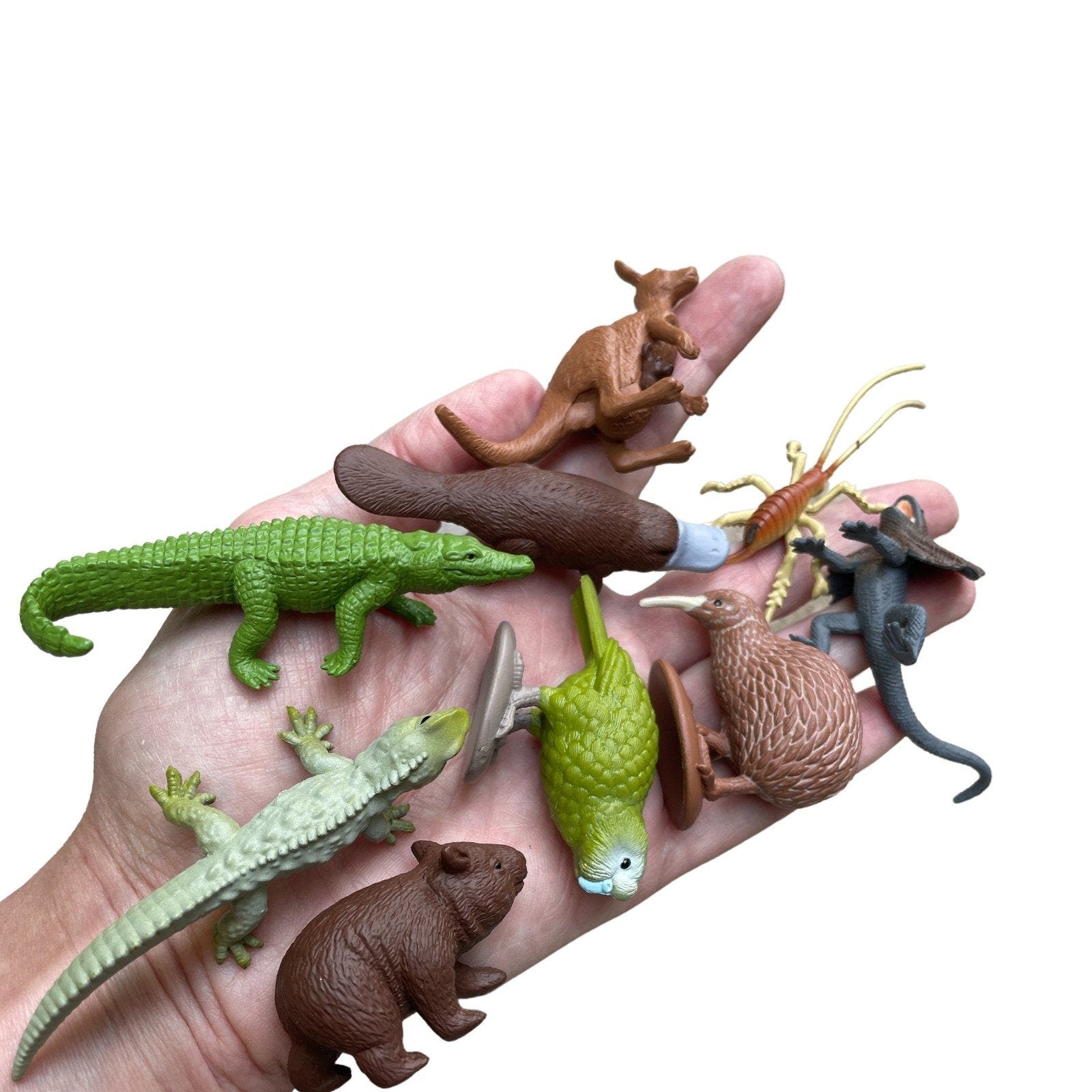 Safari Ltd. Australian Continent Toy | Nordstrom