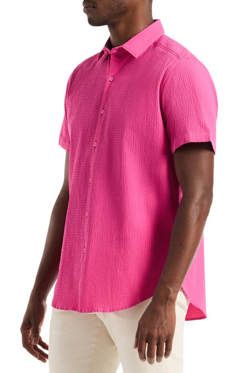 Robert Graham Piers Short Sleeve Seersucker Shirt In Pink