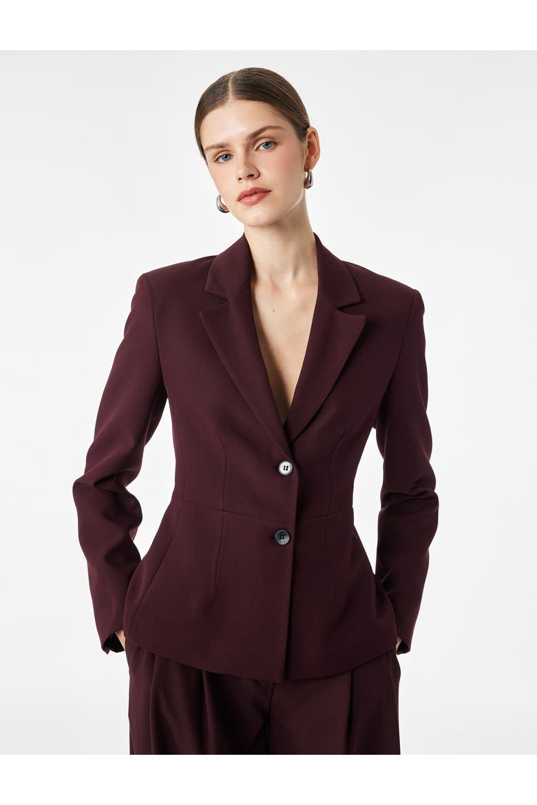 Long Sleeve Shaped Waist Notch Lapel Blazer, Alternate, color, BORDEUX