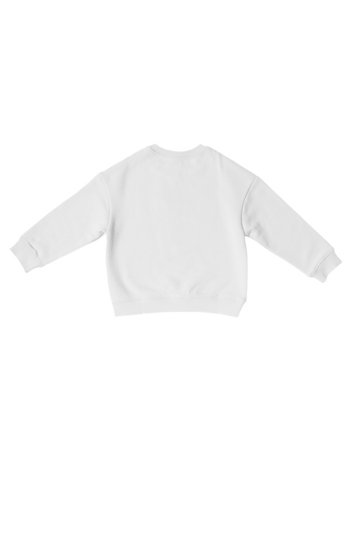 Bits & Bows Birthday Boy Sweatshirt In Multi