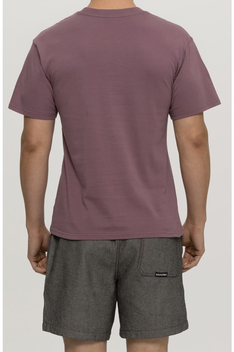 Globe Graphic T-Shirt, Alternate, color, MAUVE