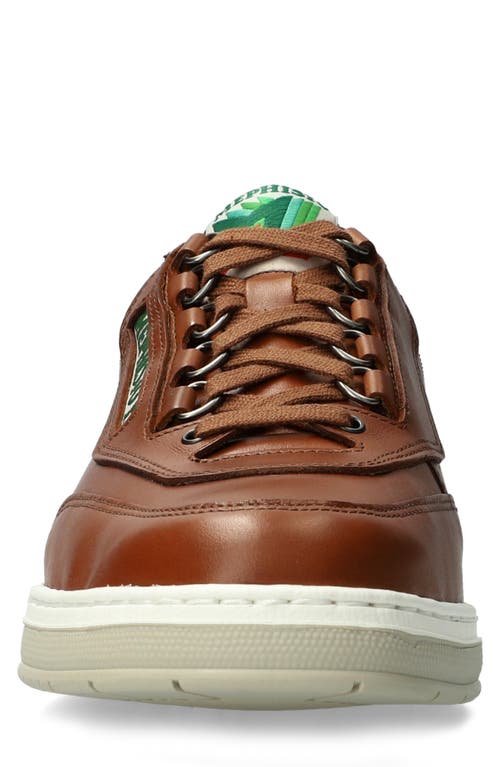 Mephisto Match Sneaker In Hazelnut Randy