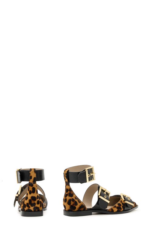 ALLSAINTS ALLSAINTS SUTTON ANKLE STRAP POINTED TOE FLAT