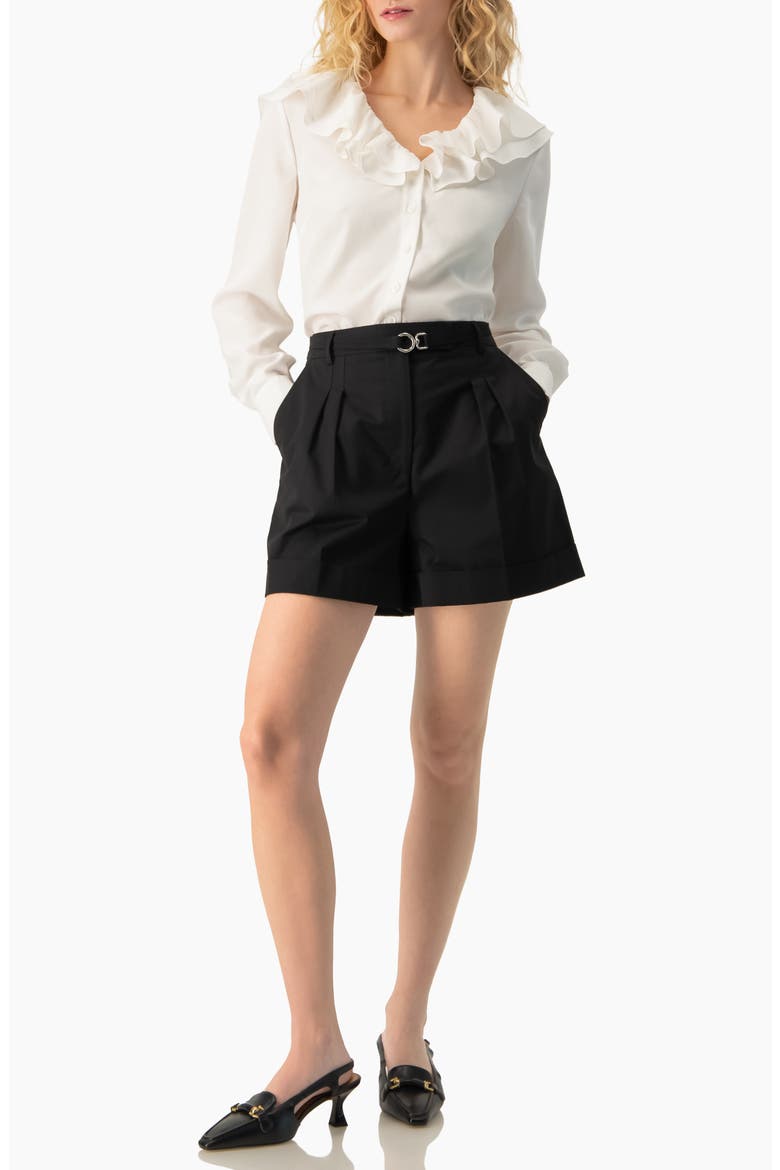 Romantic Ruffle Collar V-Neck Long-Sleeve Fitted Blouse, Alternate, color, White