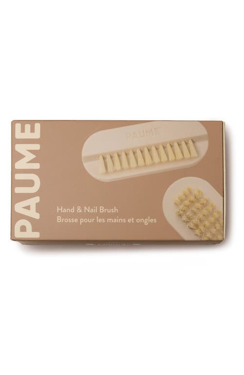 Paume Hand Nail Brush In Transparent