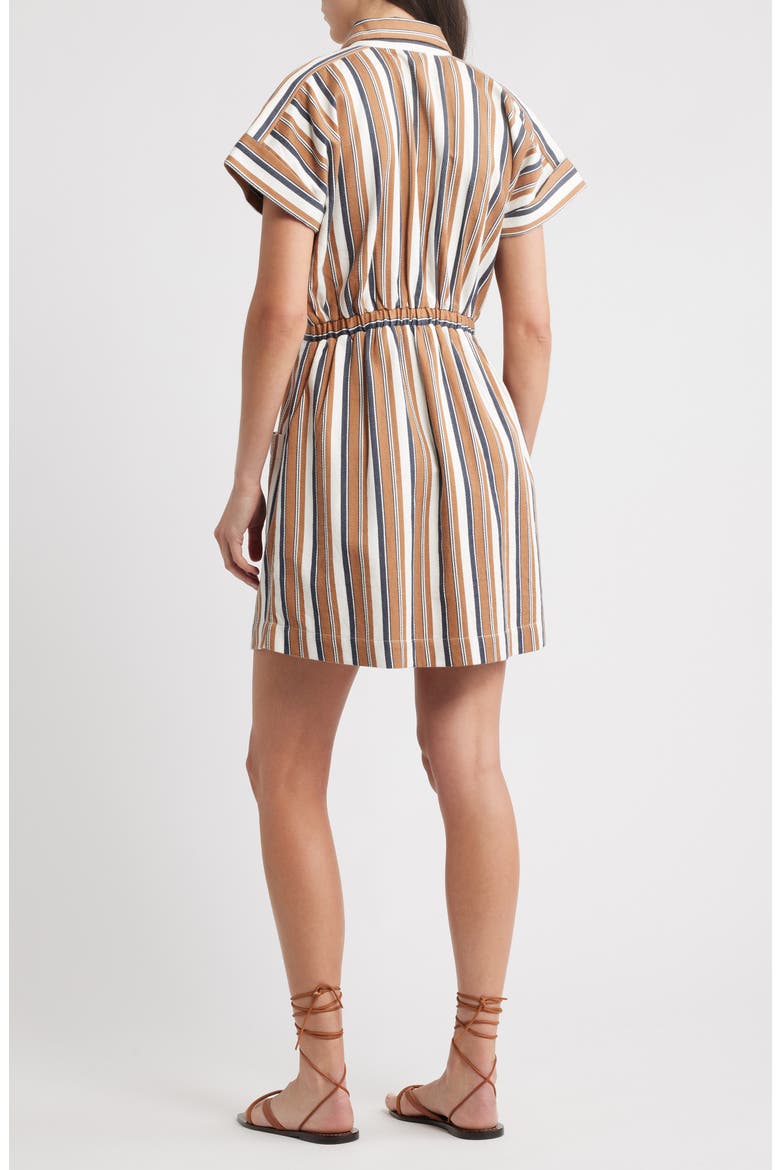 Sable Stripe Shirtdress, Alternate, color, GIATTA STRIPE