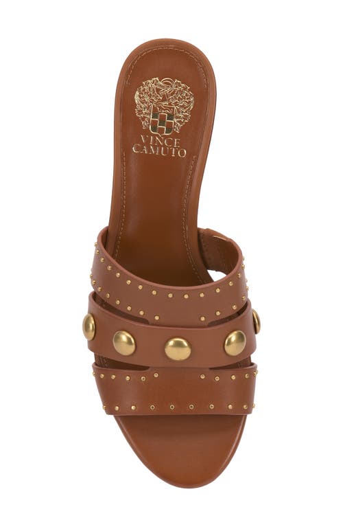 Vince Camuto Kyler Kitten Heel Slide Sandal