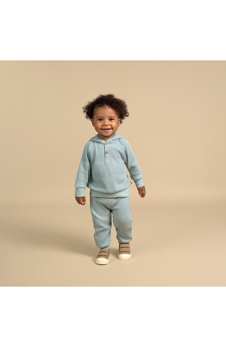 Modern Moments<sup>™</sup> by Gerber Hoodie & Pant Set, Alternate, color, 