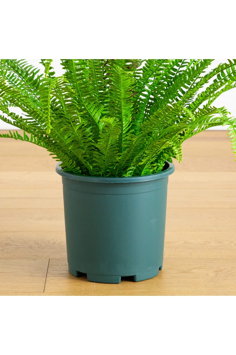 27-in UV Resistant Artificial Real Touch Boston Fern Plant, Alternate, color, Green