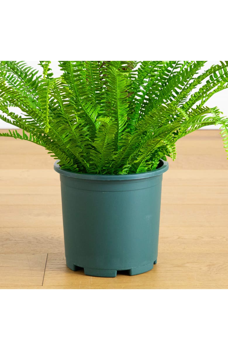 NEARLY NATURAL 27-in UV Resistant Artificial Real Touch Boston Fern Plant, Alternate, color, Green