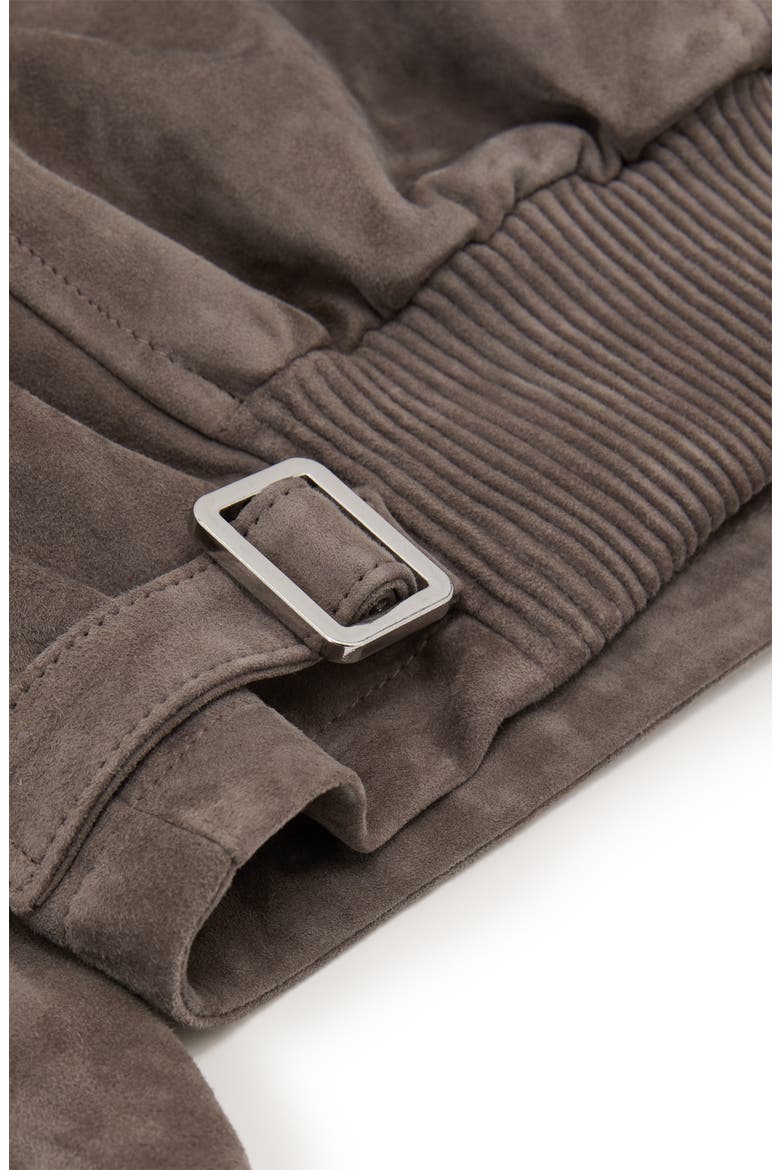 Sorina Suede Jacket, Alternate, color, GREY