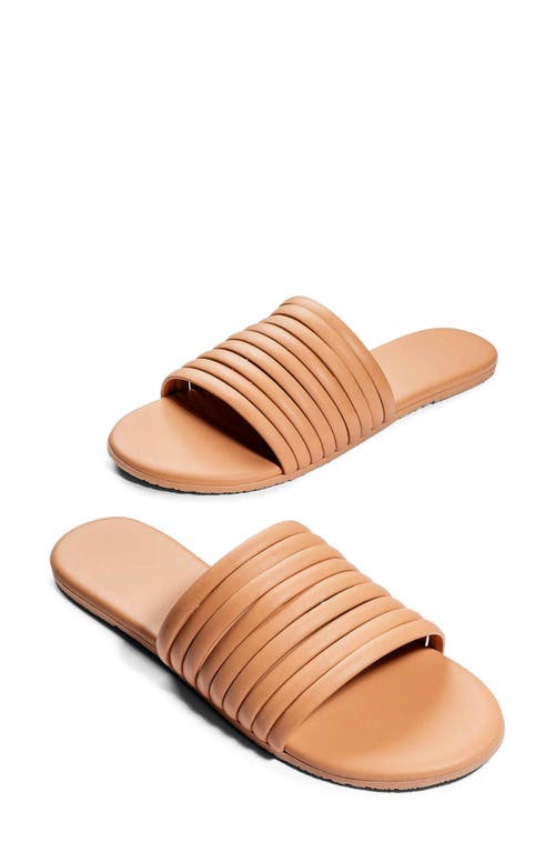 Tkees Caro Slide Sandal