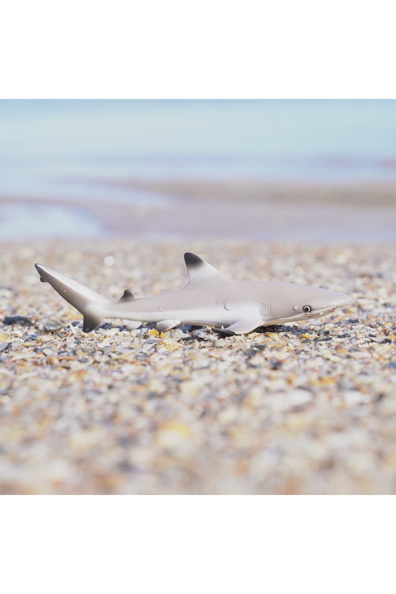 Blacktip Reef Shark Kids Toy Figure, Alternate, color, None