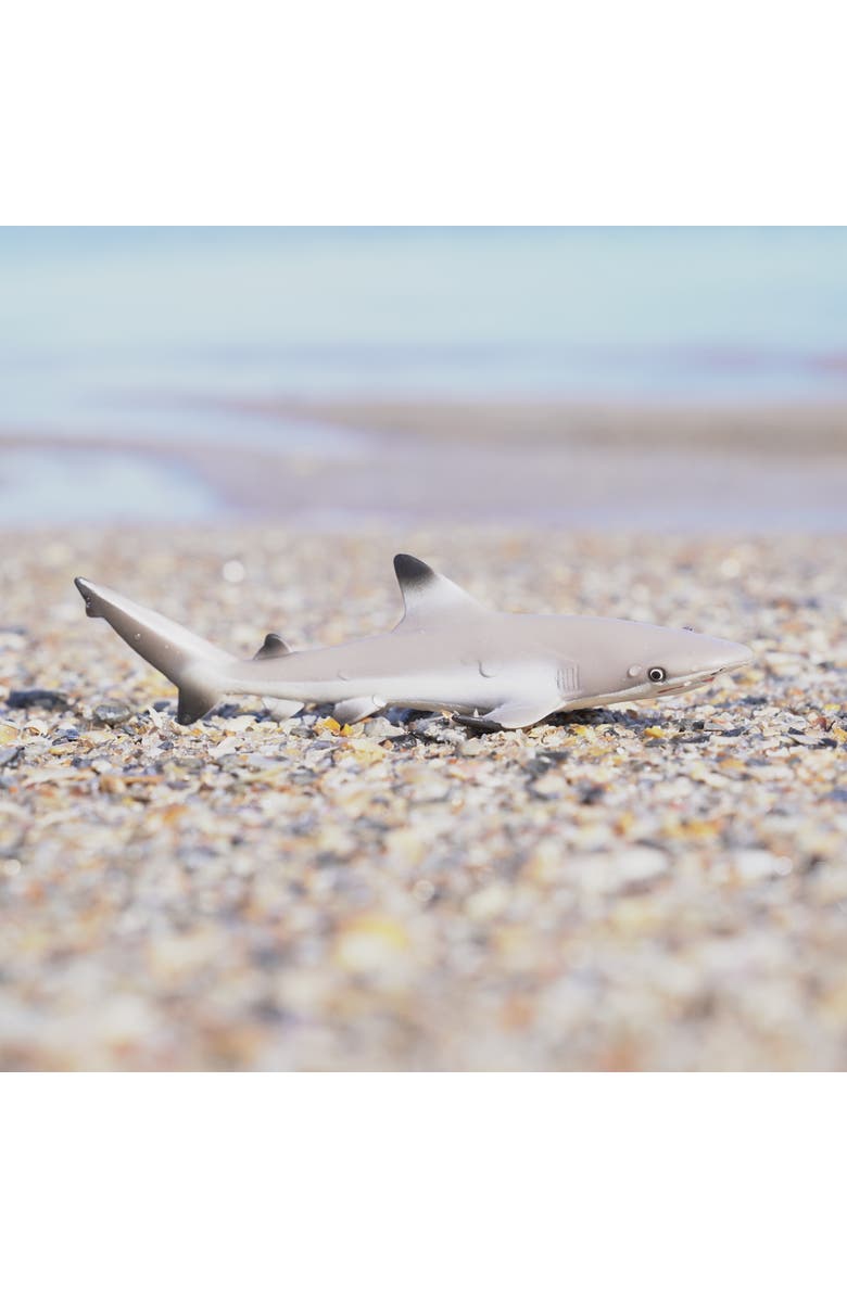Safari Ltd. Blacktip Reef Shark Kids Toy Figure, Alternate, color, NO COLOR