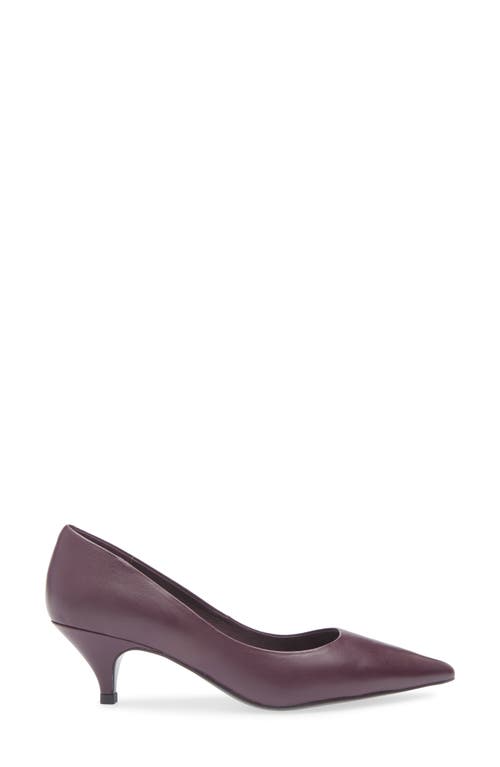 Jeffrey Campbell Miss Maam Pointed Toe Pump In Purple