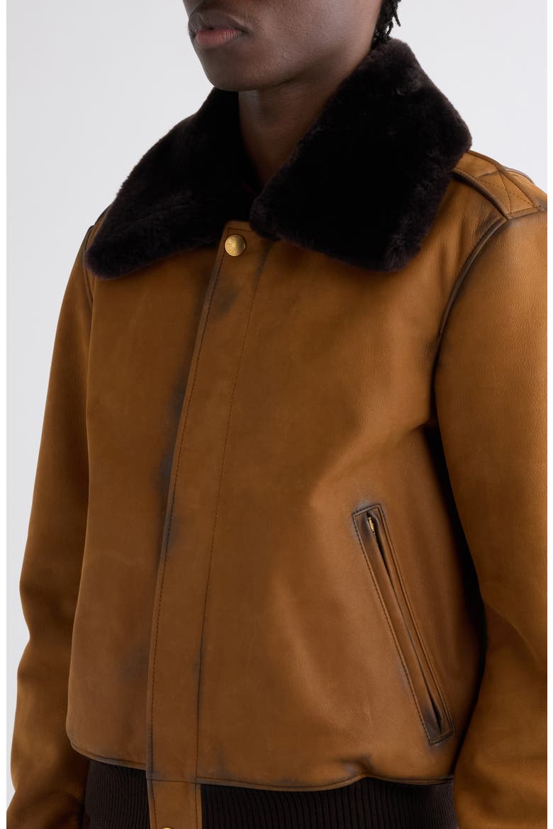 Lorby Genuine Shearling Collar Suede Bomber Jacket, Alternate, color, COGNAC BROWN
