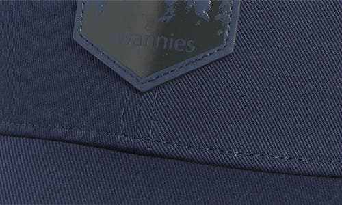 Swannies Drake Snapback Baseball Cap In Blue