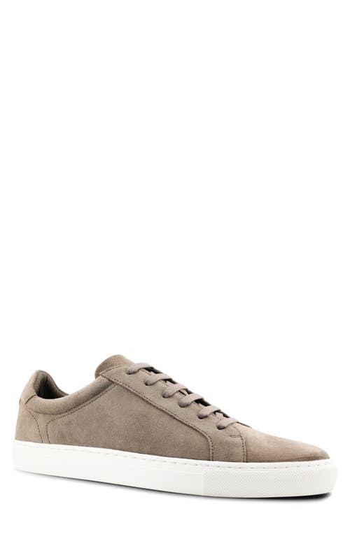 Blake Mckay Jay Low Top Sneaker in Cafe Suede 