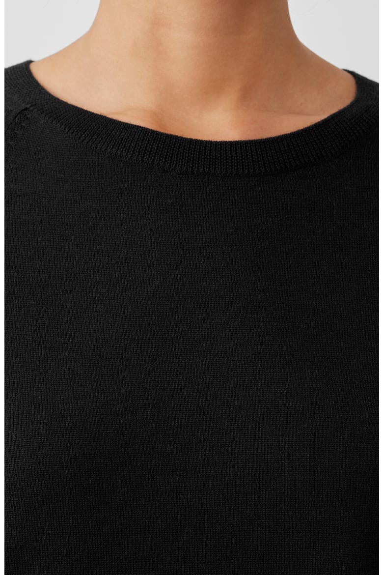 Raglan Sleeve Merino Wool Pullover, Alternate, color, BLACK