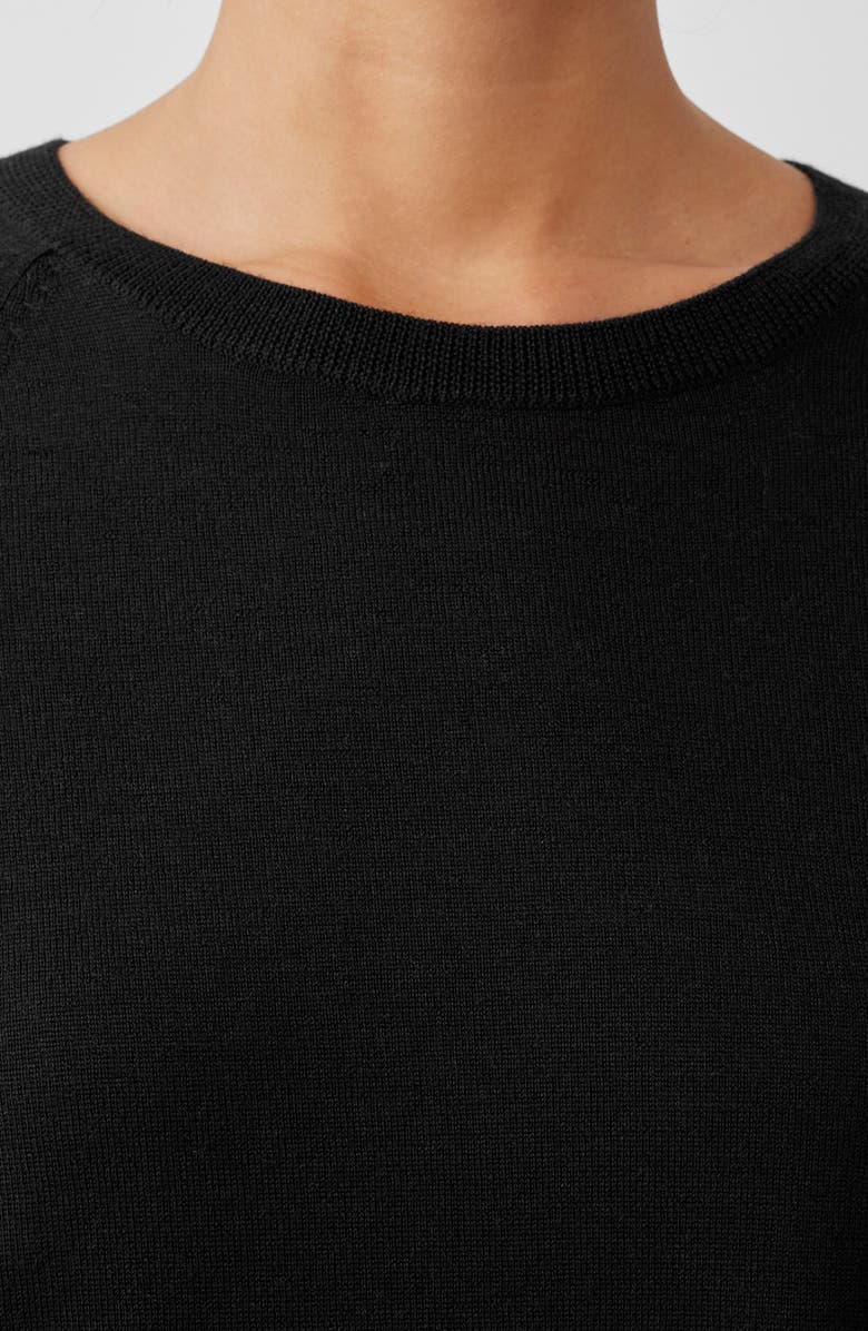 Eileen Fisher Raglan Sleeve Merino Wool Pullover, Alternate, color,
