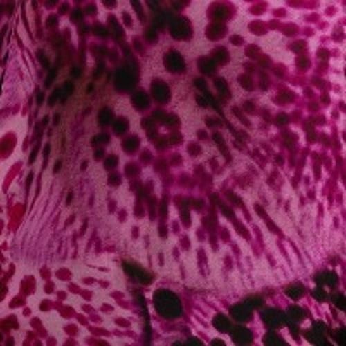 Live Unlimited Chiffon Animal Print Blouse In Black