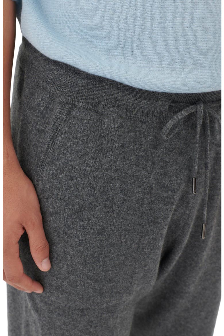 Men's Cashmere Jogger, Alternate, color, plum kitten