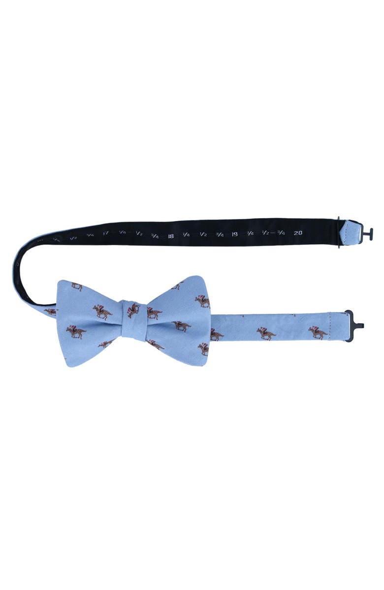 Trafalgar Down The Stretch Racehorse Linen Blend Bow Tie, Alternate, color, Light Blue