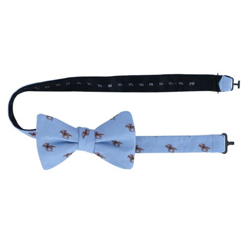 Trafalgar Down The Stretch Racehorse Linen Blend Bow Tie In Light Blue