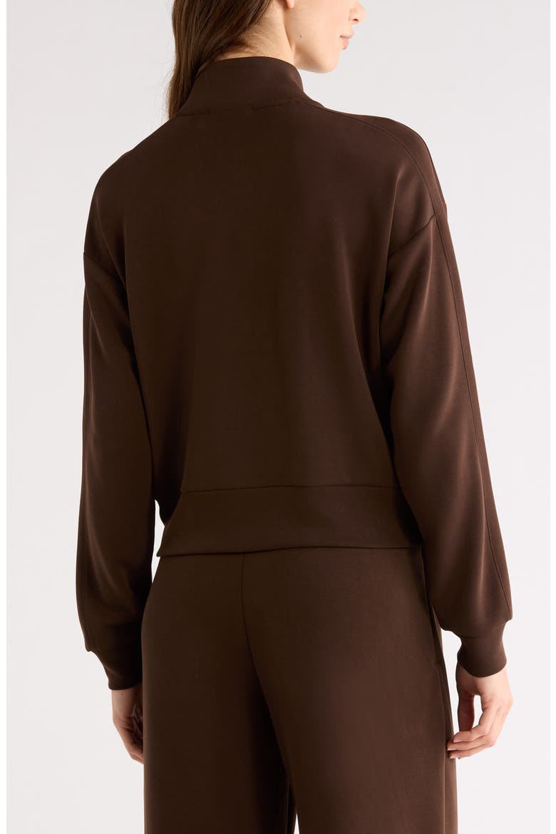 Ultra Soft Zip Jacket, Alternate, color, BROWN MOLE'