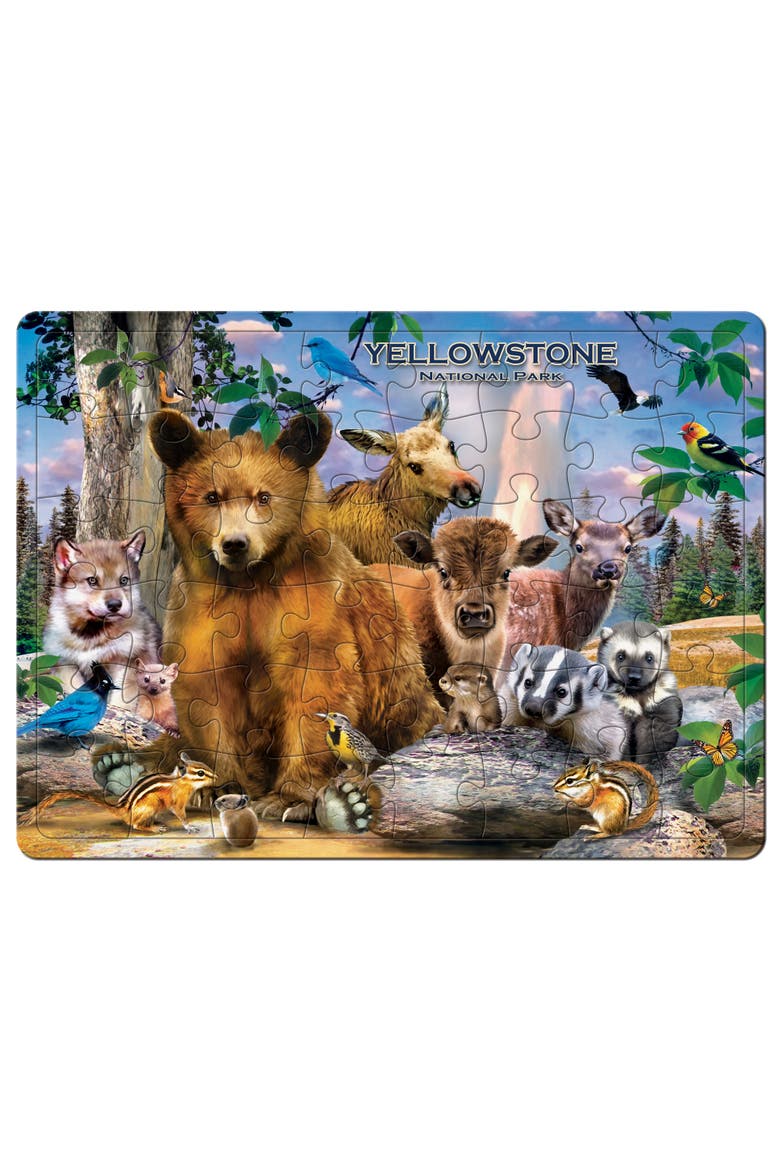 Yellowstone 48 Piece Tray Puzzle, Alternate, color, Multicolor