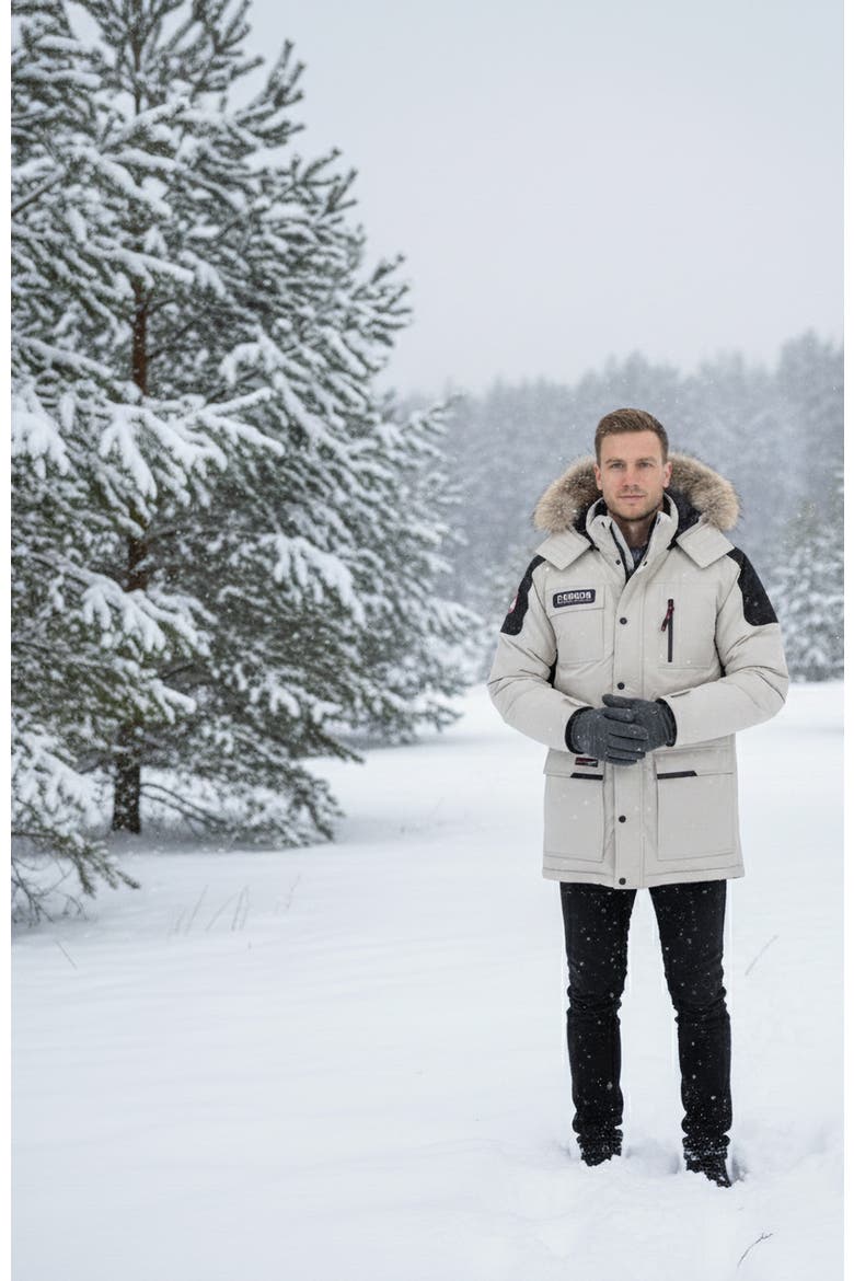 Men's Heavyweight Arctic Parka, Alternate, color, Stone