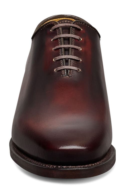 Allen Edmonds Morrison Oxford In Brown