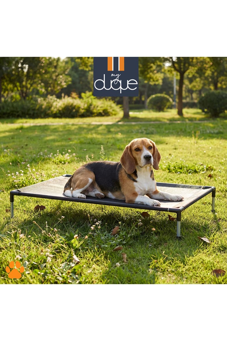 Pet Bed, 35.5 Inches x 23.5 Inches, Alternate, color, Black
