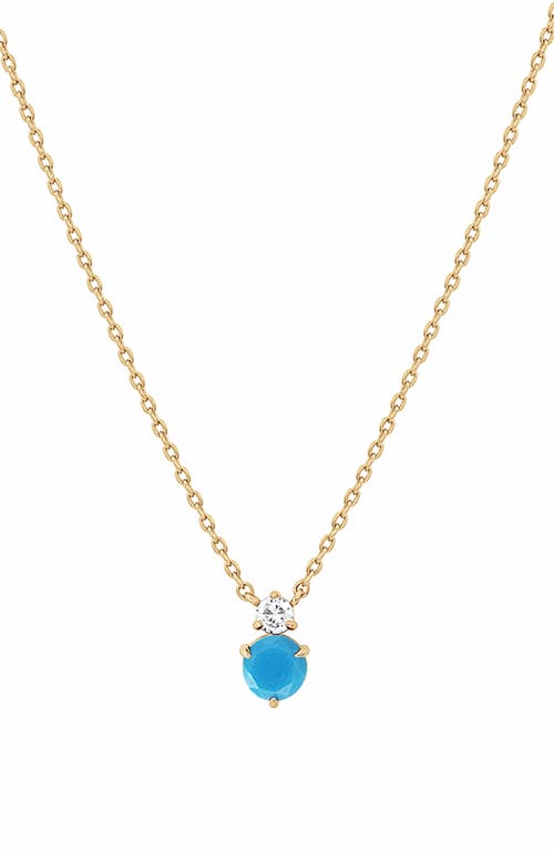 Bearfruit Jewelry 14k Gold Plated Deux Birthstone Necklace Personal Holiday Gift Idea in Turquoise/december  product
