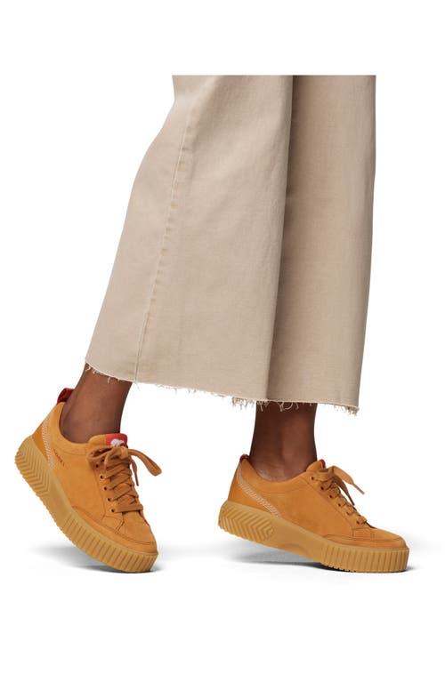 Sorel Ona Ave Waterproof Low Top Sneaker In Canyon Gold/gum