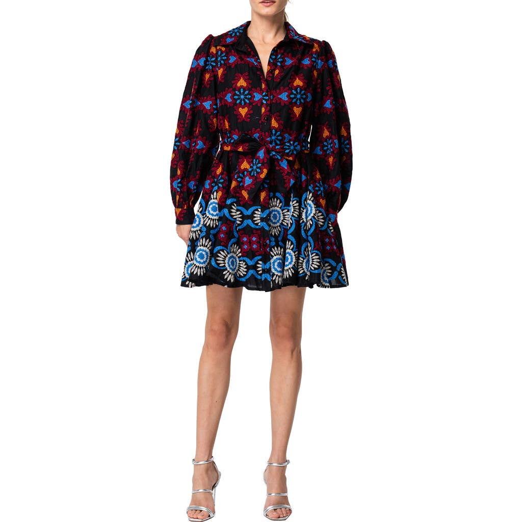 Ciebon Serra Embroidered Long Sleeve Cotton Minidress In Multi