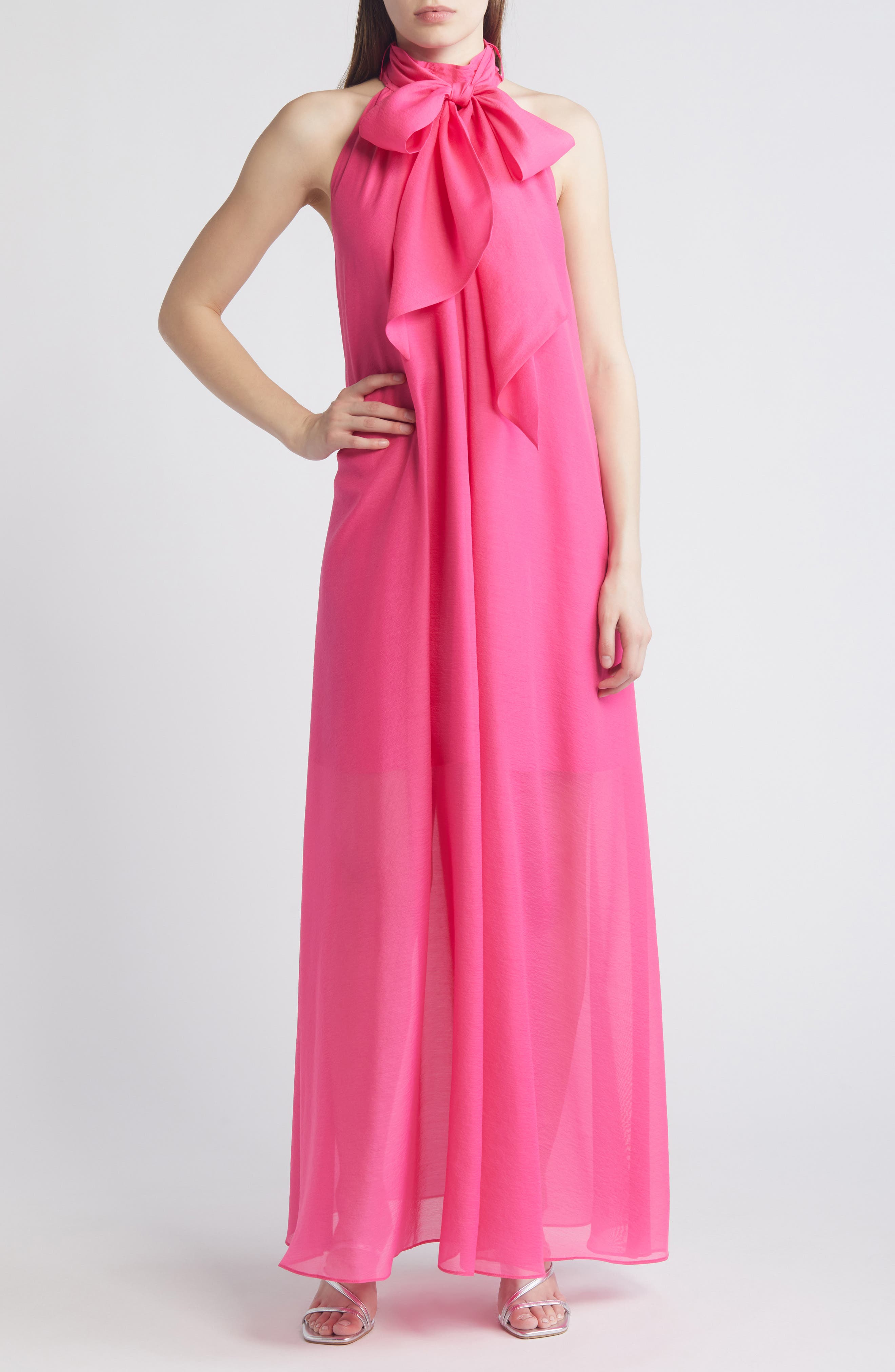 Arikka Sleeveless Organza Maxi Dress