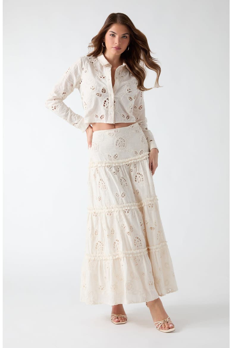 Lenora Embroidered Eyelet Crop Top, Alternate, color, WHITE