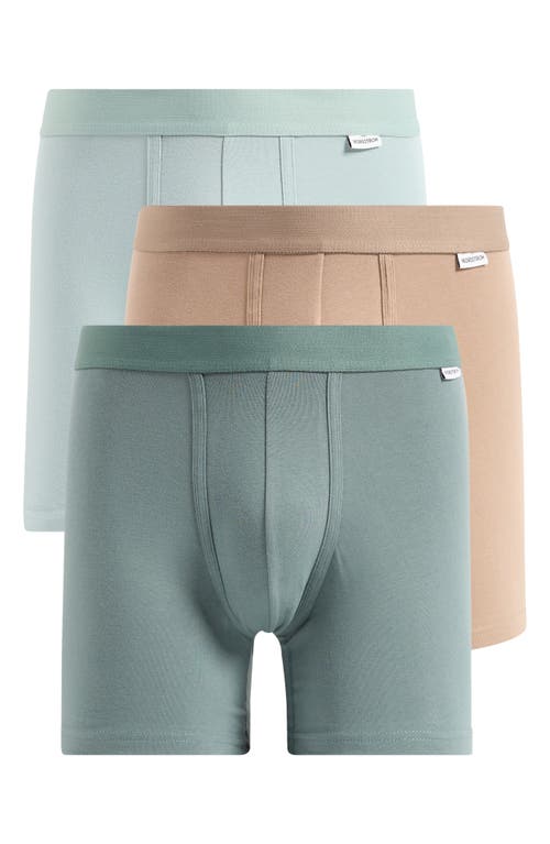 Nordstrom 3-pack Boxer Briefs In Multi