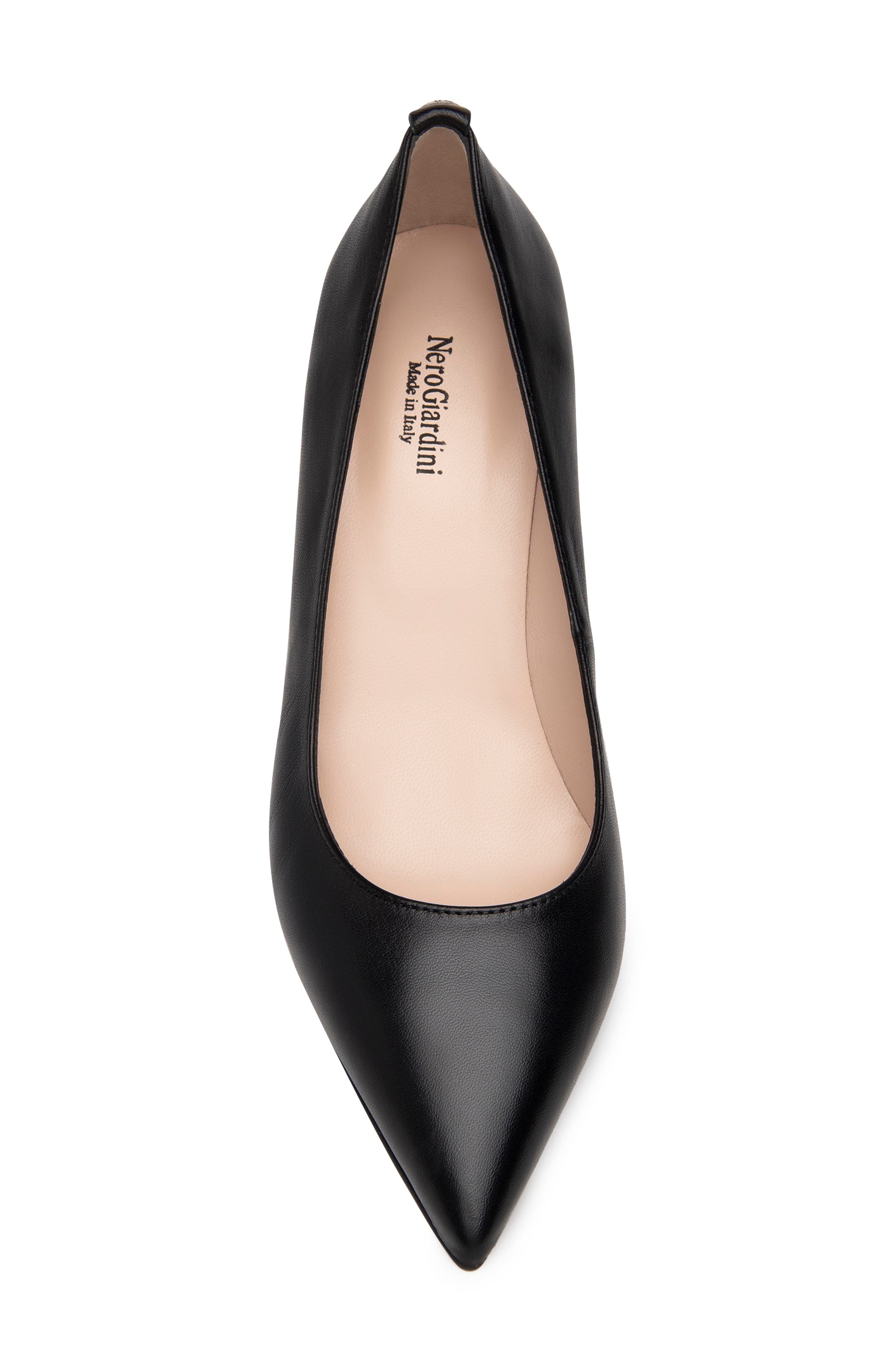 NeroGiardini Pointed Toe Pump, Alternate, color, 