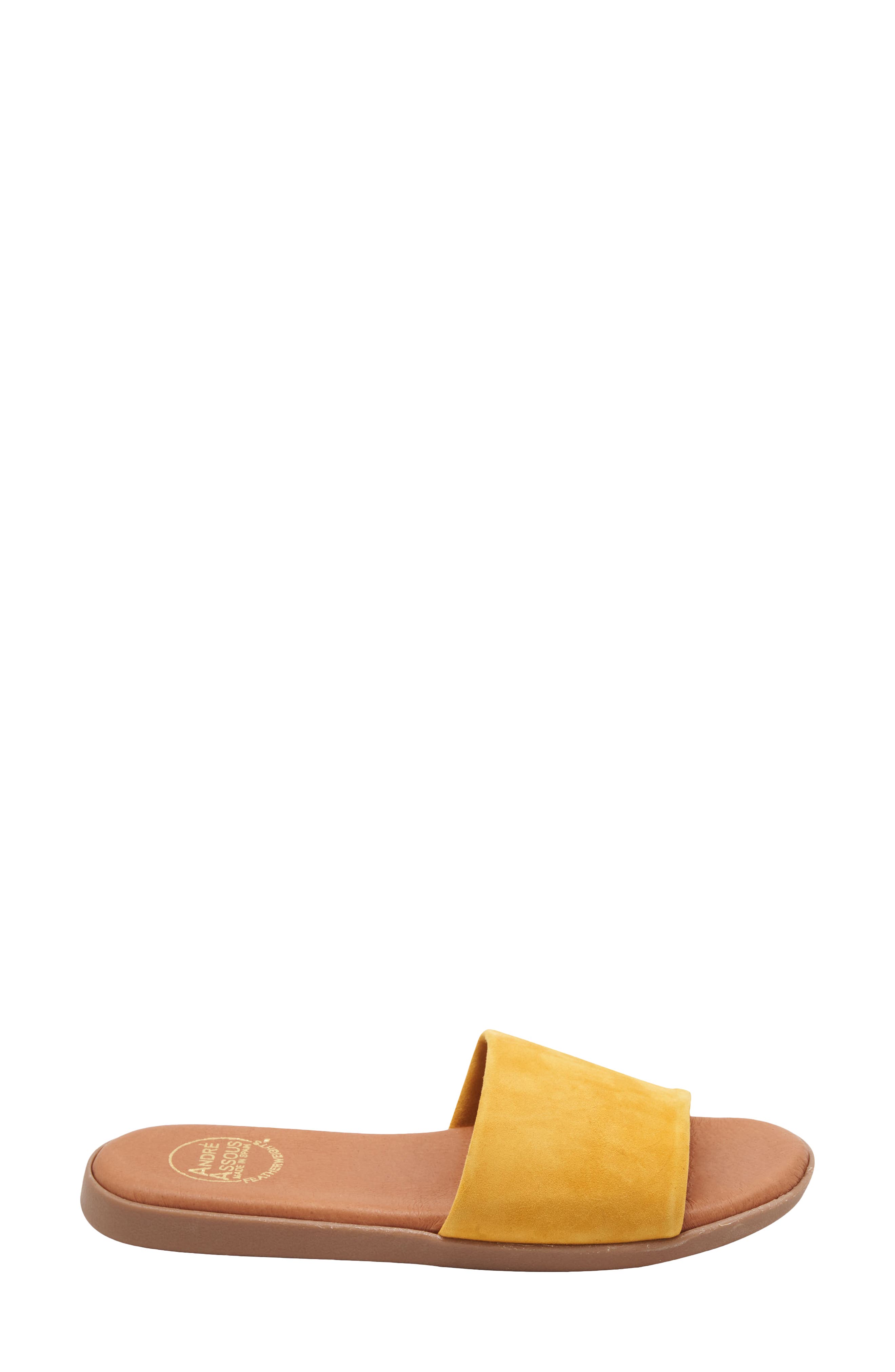 André Assous Paloma Woven Slide Sandal, Alternate, color, Lemon