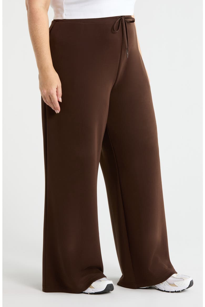 Soft Luxe Wide Leg Pants, Alternate, color, BROWN MOLE'