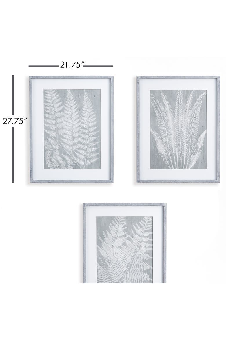 Fern Frond Prints, Set Of 3, Alternate, color, Green